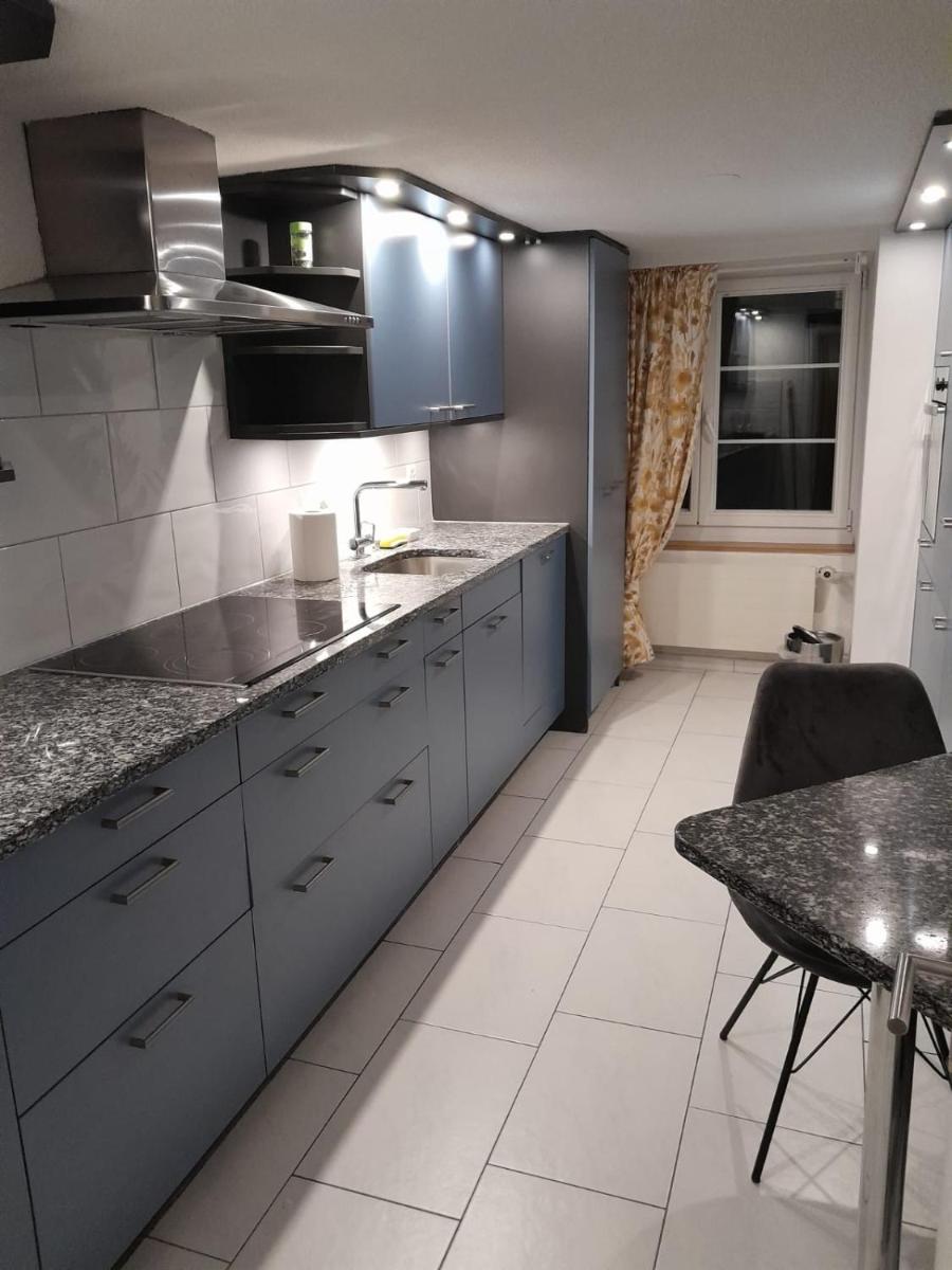 Rosa Apartment Zürich City - Housity