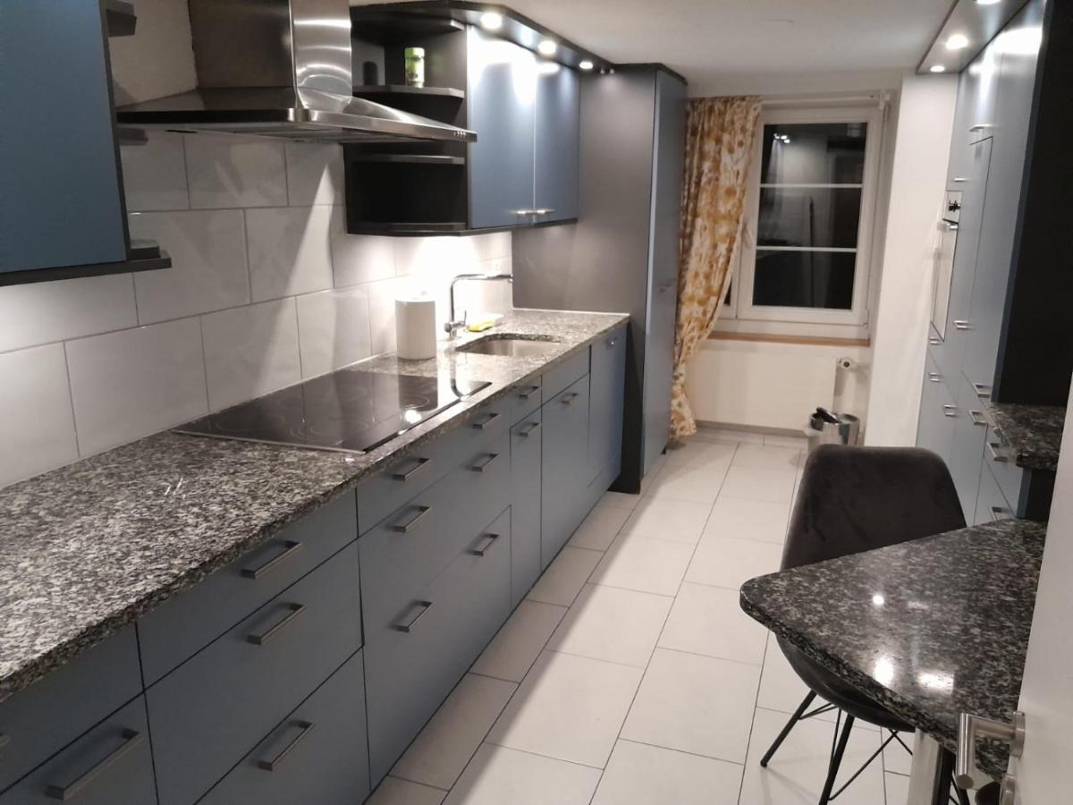 Rosa Apartment Zürich City - Housity