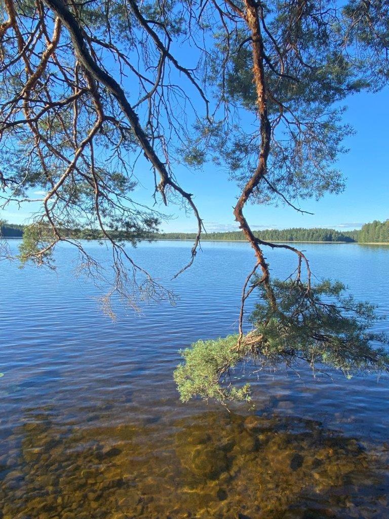 Ahoniemi - Kellankoski - Housity