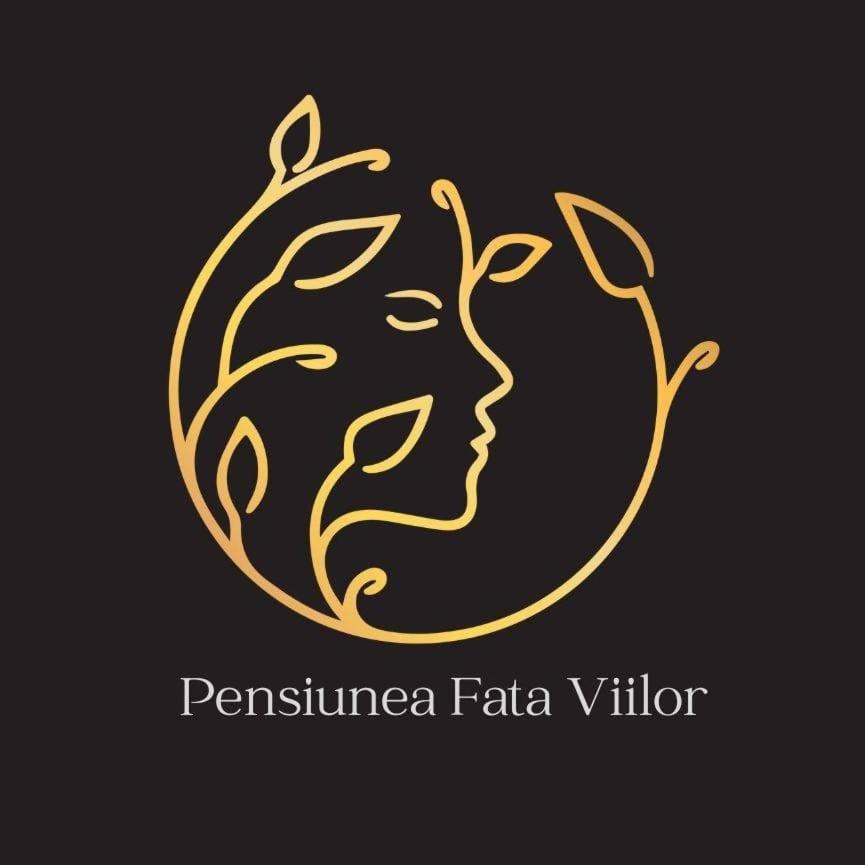pensiune fata viilor - Housity