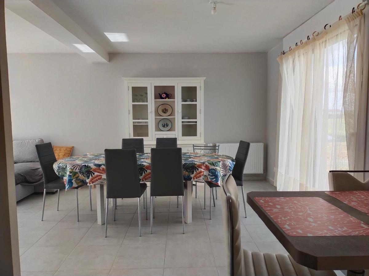 Le palmier nantais - Housity