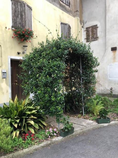 Il Casale del Miele - Housity