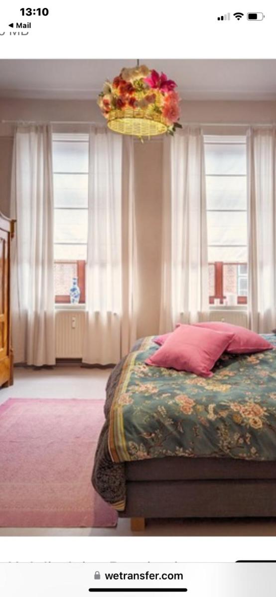 Wohlfühlen in historischem Haus - Housity
