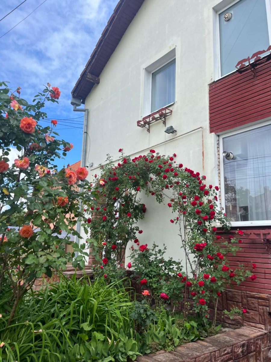 Casa Conti - Housity