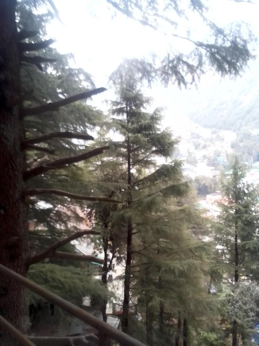 HIMALAYAN Trekkers Backpackers Hostel - Housity