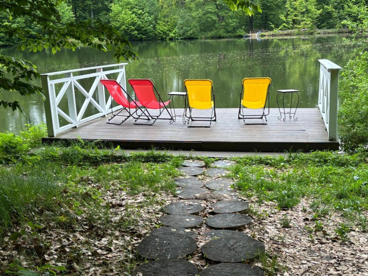 Pintea Chalet - Housity