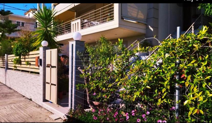 Xrysa's Garden - Housity