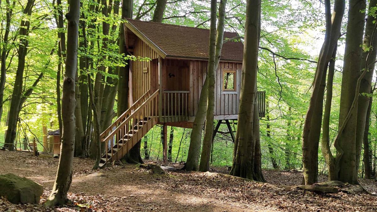 Baumhaushotel Solling - Housity