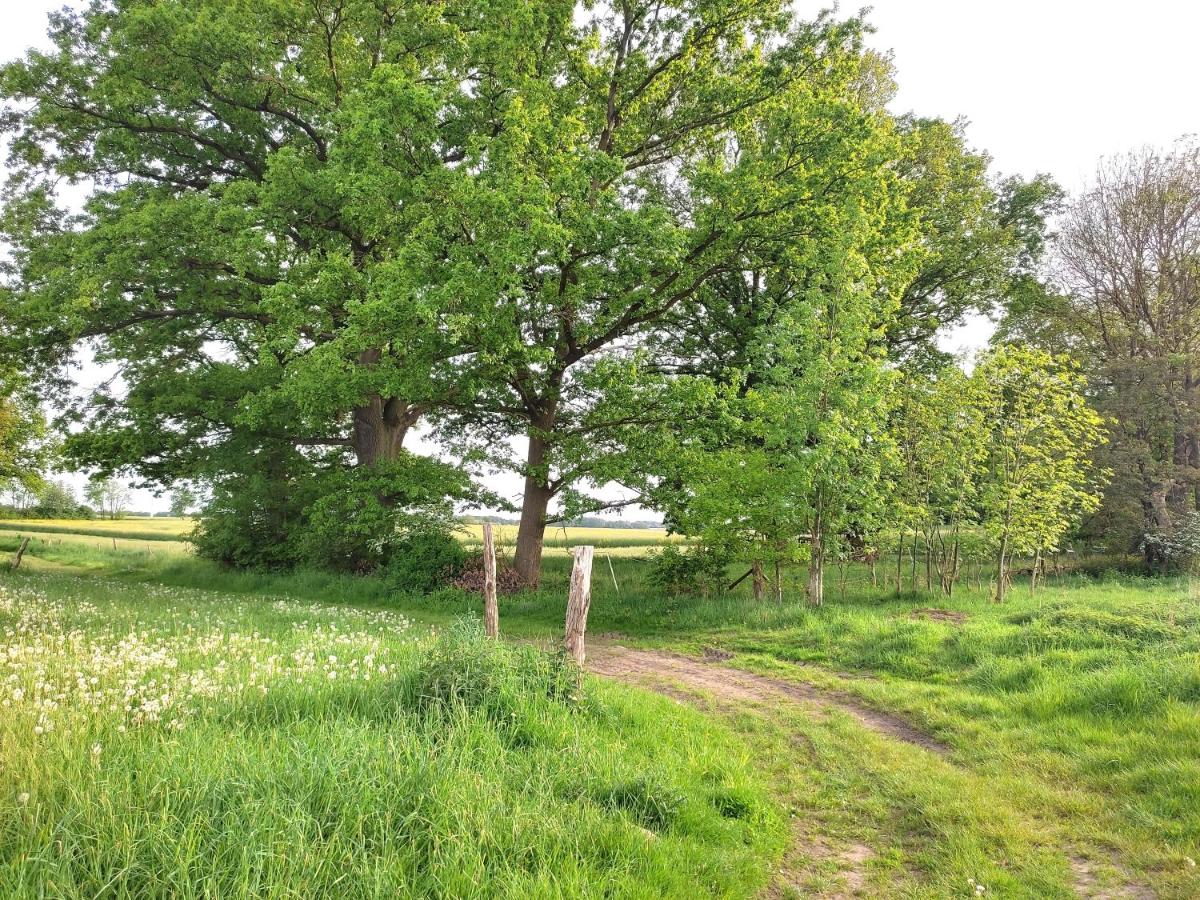 Ferienwohnung Steffenshagen - Housity