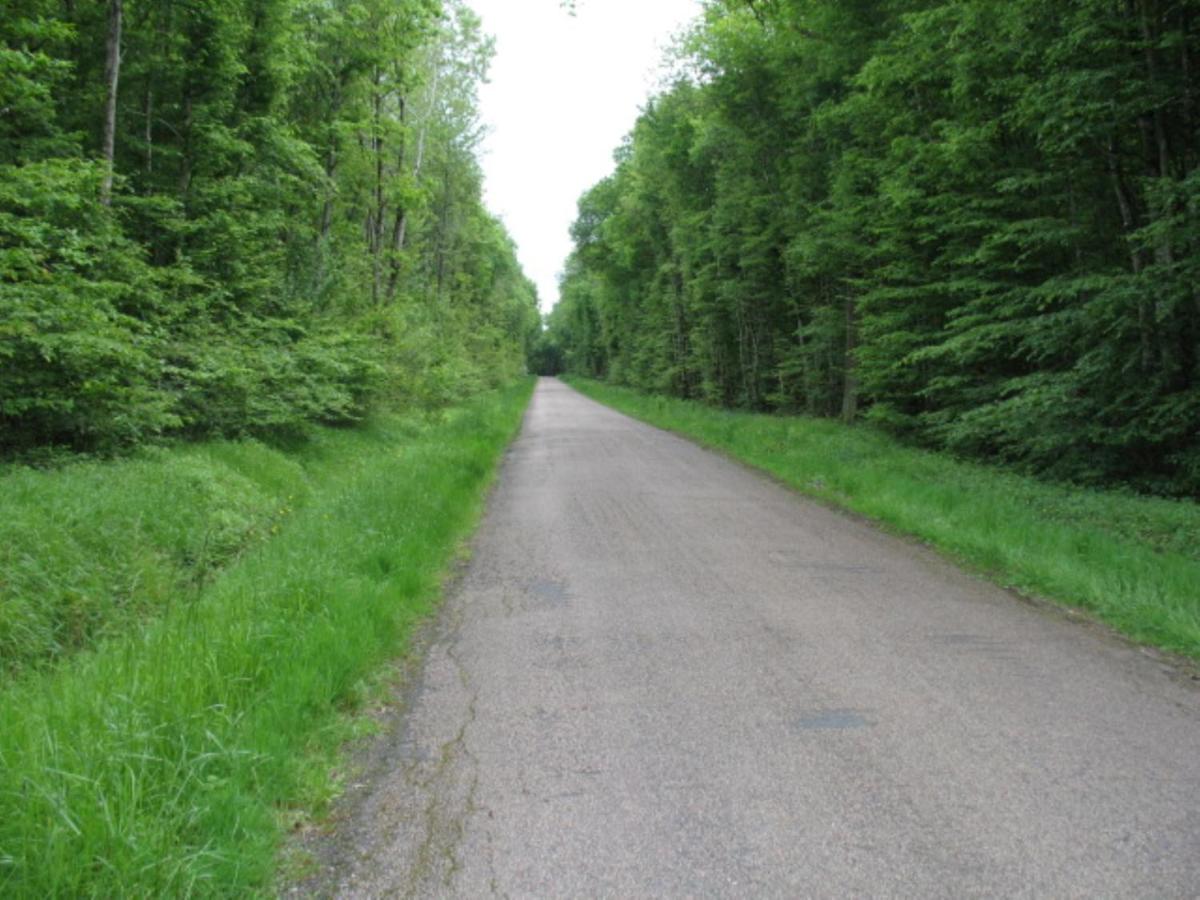 CAMPAGNE et FORET - Housity