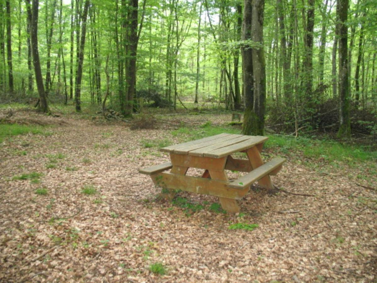 CAMPAGNE et FORET - Housity