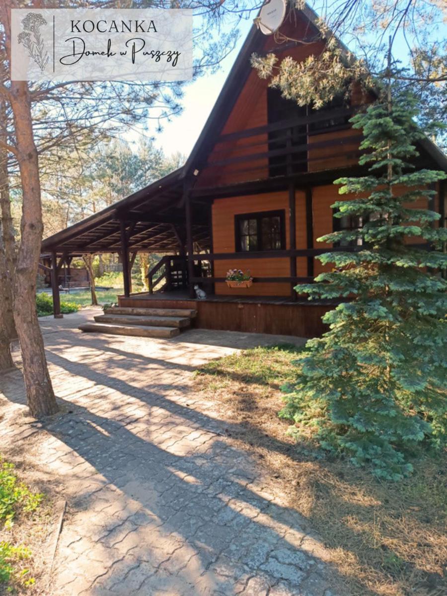 Domek w Puszczy ,,Kocanka
