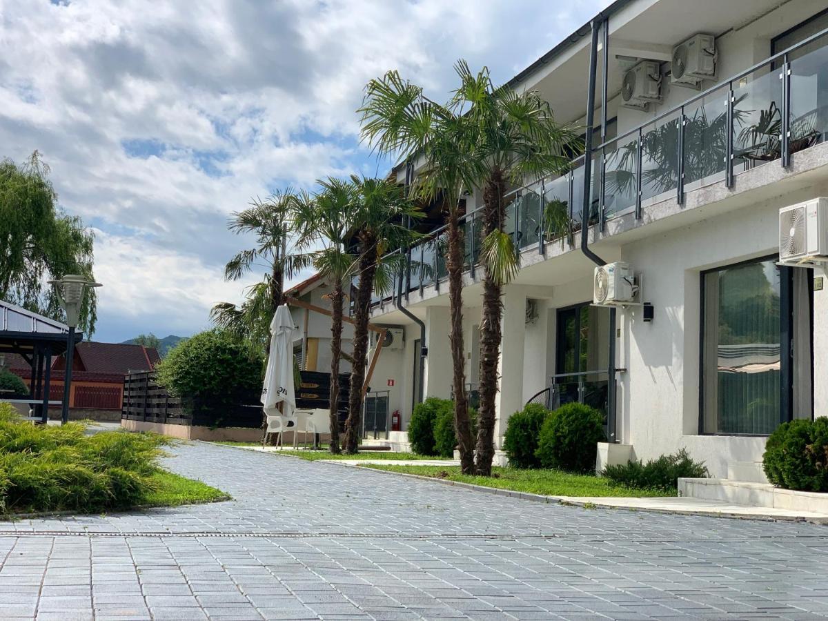 Pensiunea White Department - Housity