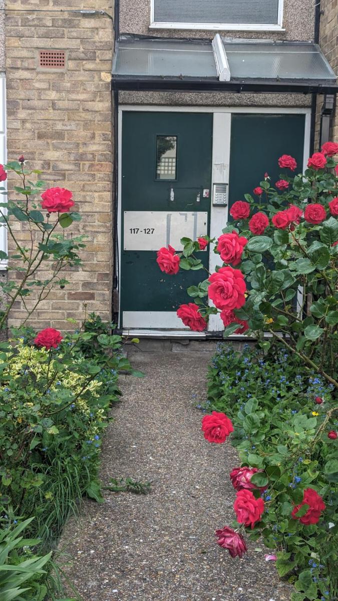 Beautiful double bedroom in shared flat near Olympic Park in Stratford London - Housity