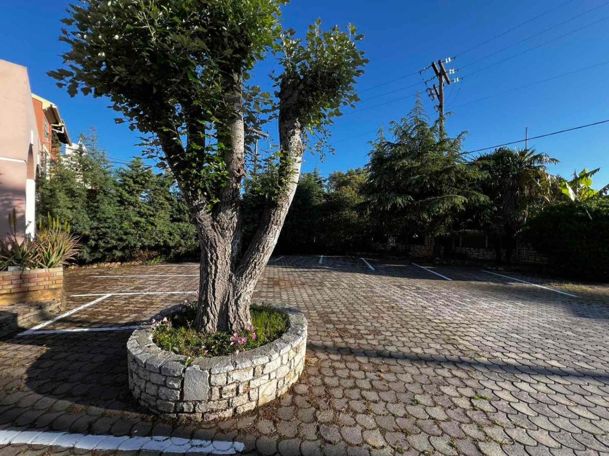 Angela Corfu - Housity