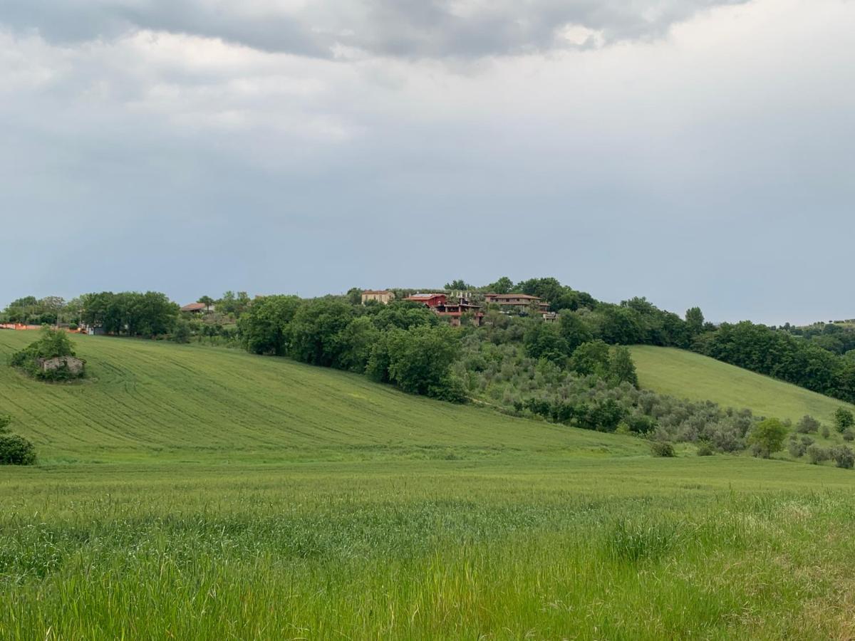 Azienda Agricola Bio SanBonaventura - Housity