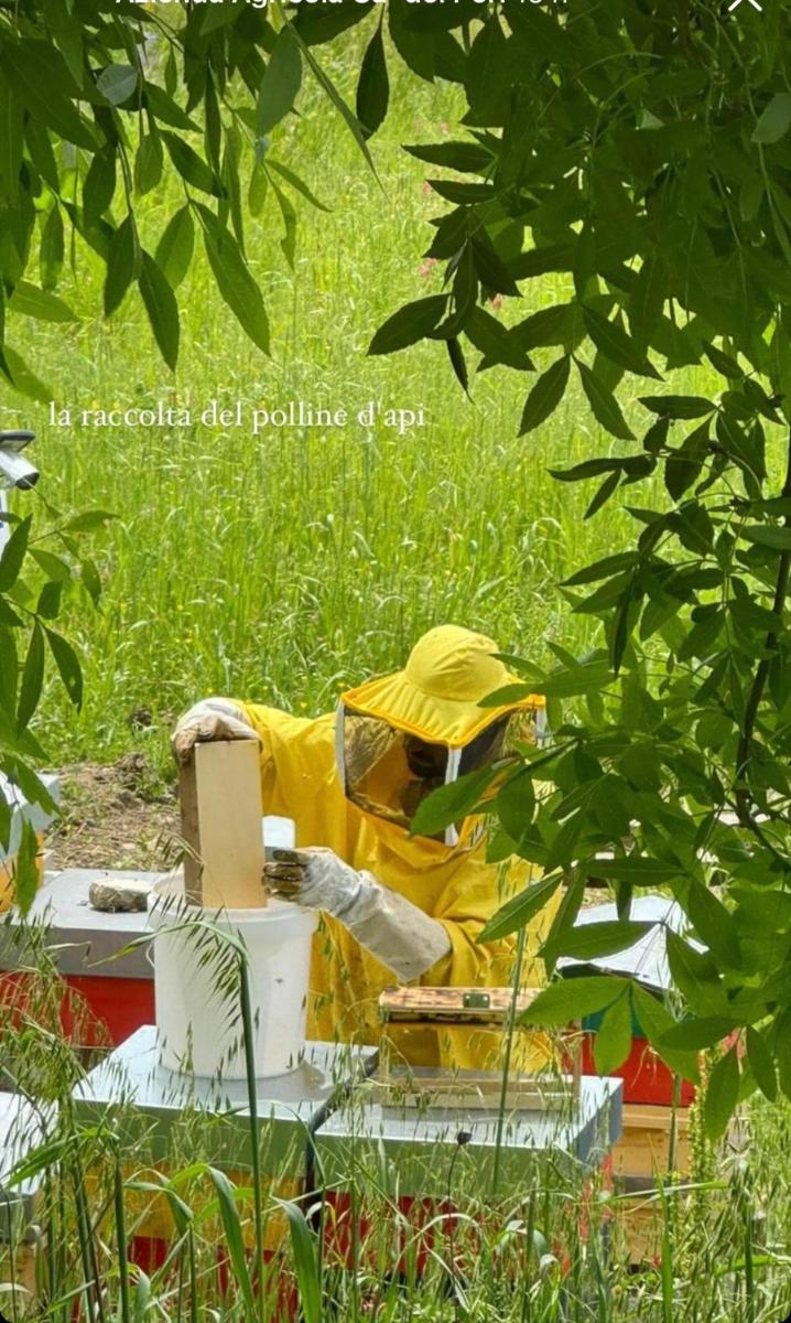 Azienda Agricola Bio SanBonaventura - Housity