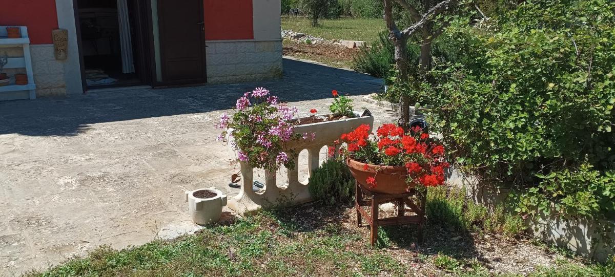 Casa alle vigne - Housity