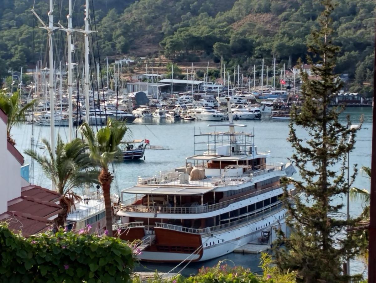 Duygu Apart spellbinding sea views - Housity