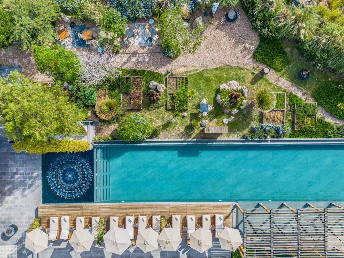 Live Aqua San Miguel de Allende - Housity