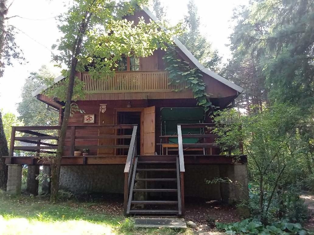 Dom na Skraju Lasu - Housity