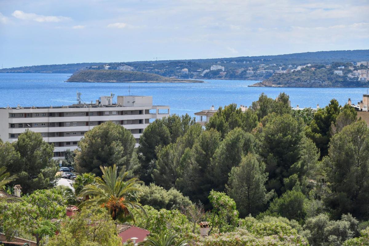 Paisaje cerca de este hotel