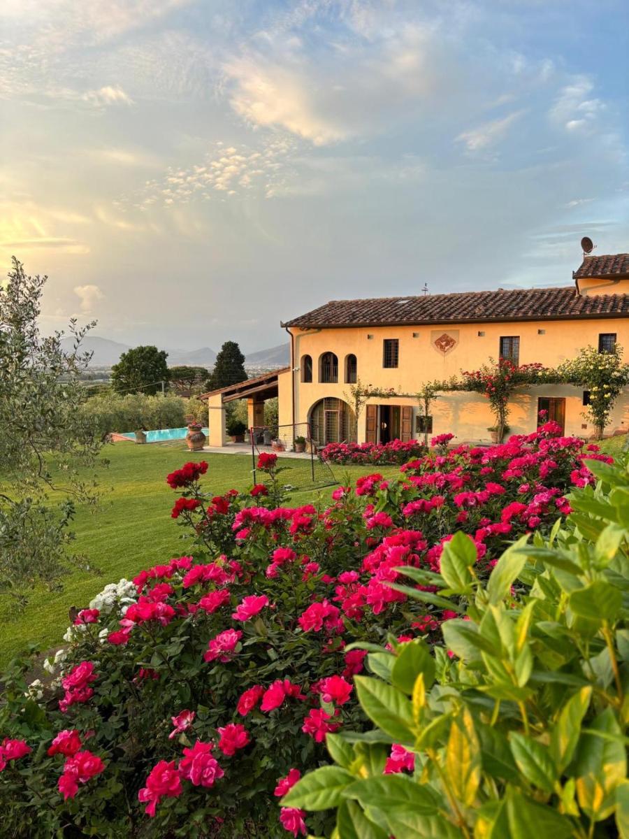 Podere agli Arrighi - Housity