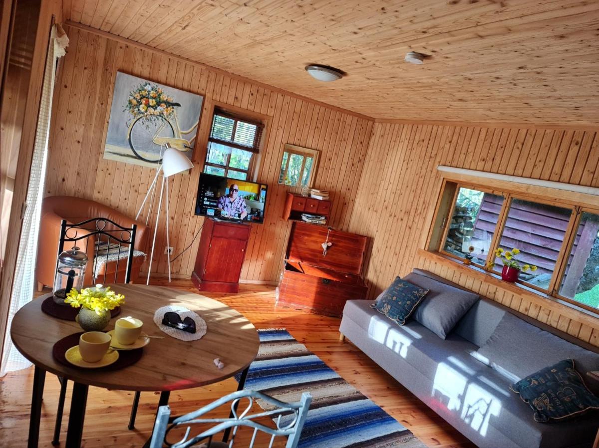 Kakuvälja guest house with sauna - Housity