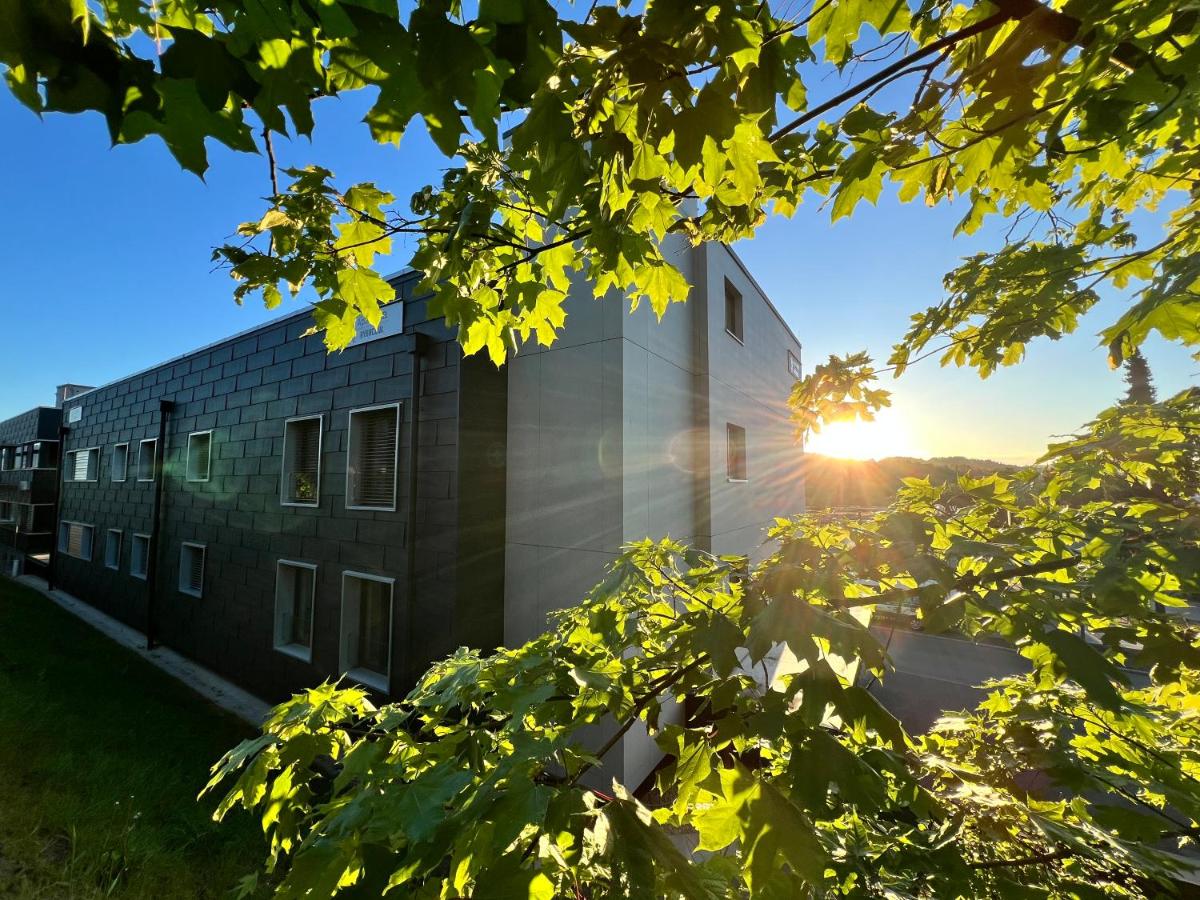 Aparthotel Rýbrcoul - Housity