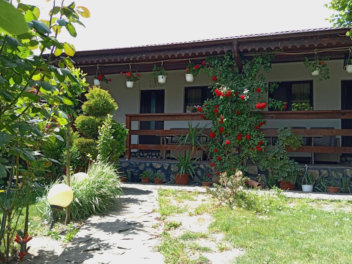 Casa Chitu - Housity