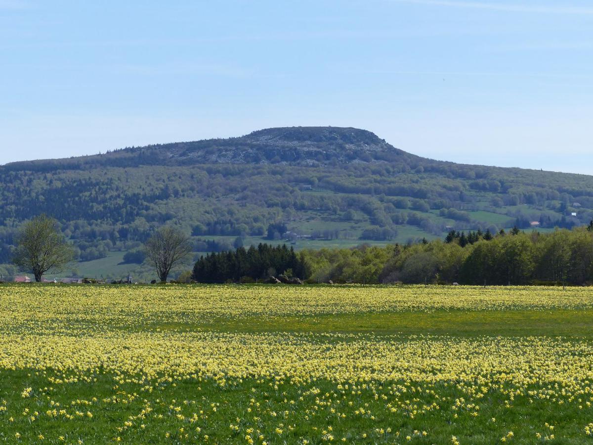 Terres de France - Le Domaine des Vans - Housity