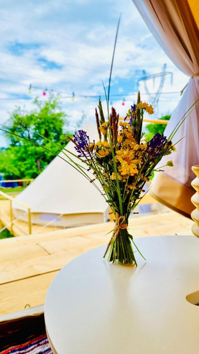 Maramures Glamping Resort - Housity