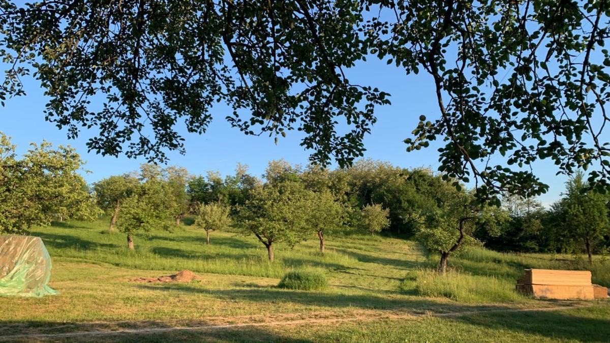 Maramures Glamping Resort - Housity