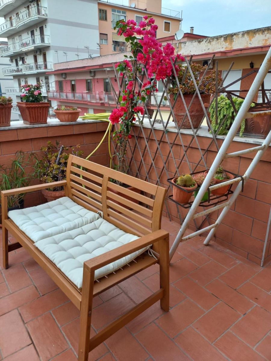 Vient e mare (Sea wind) - Housity