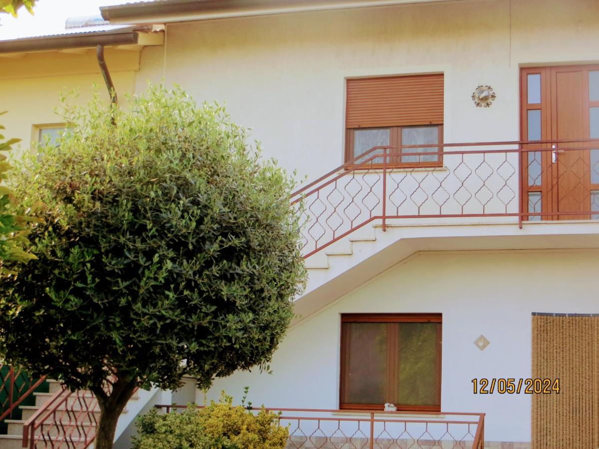 5 Palme - Housity
