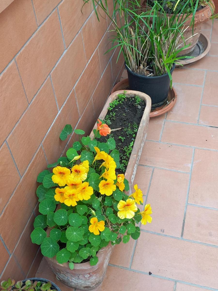 Vient e mare (Sea wind) - Housity