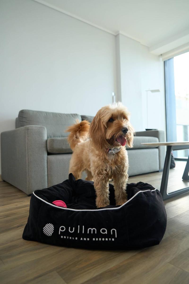 Pullman Vina del Mar San Martin - Housity
