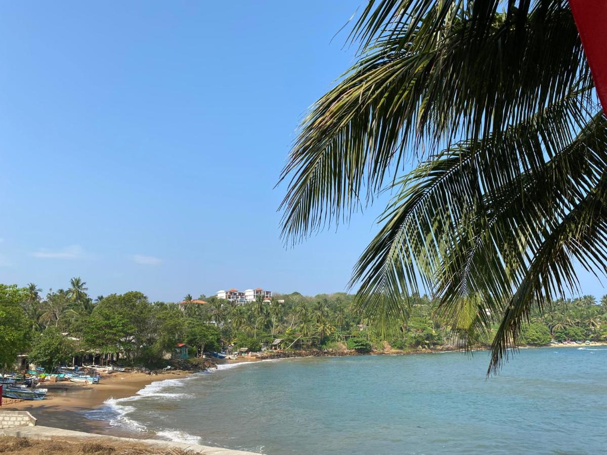 Surf Paradise - Housity
