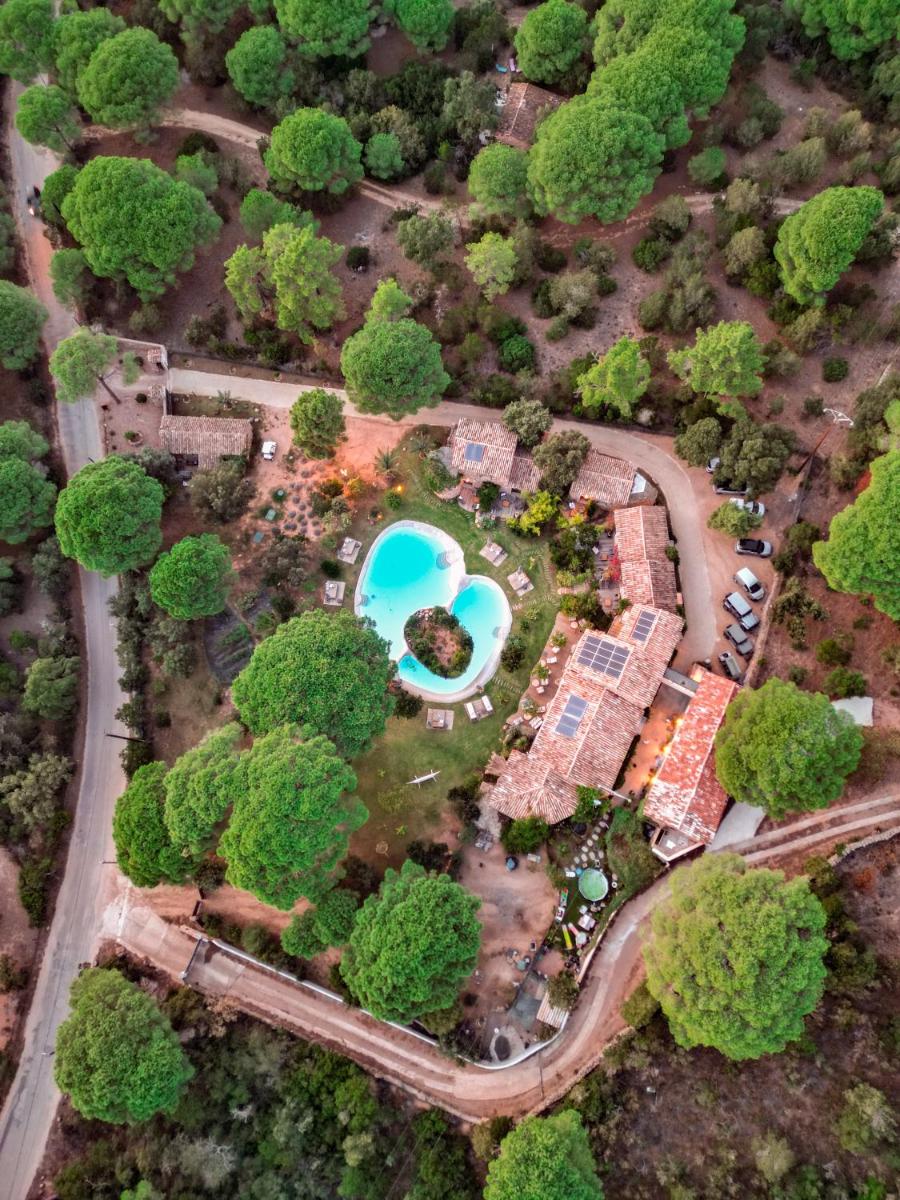 Piscine de l'établissement Hôtel Ambassador Palombaggia ou située à proximité