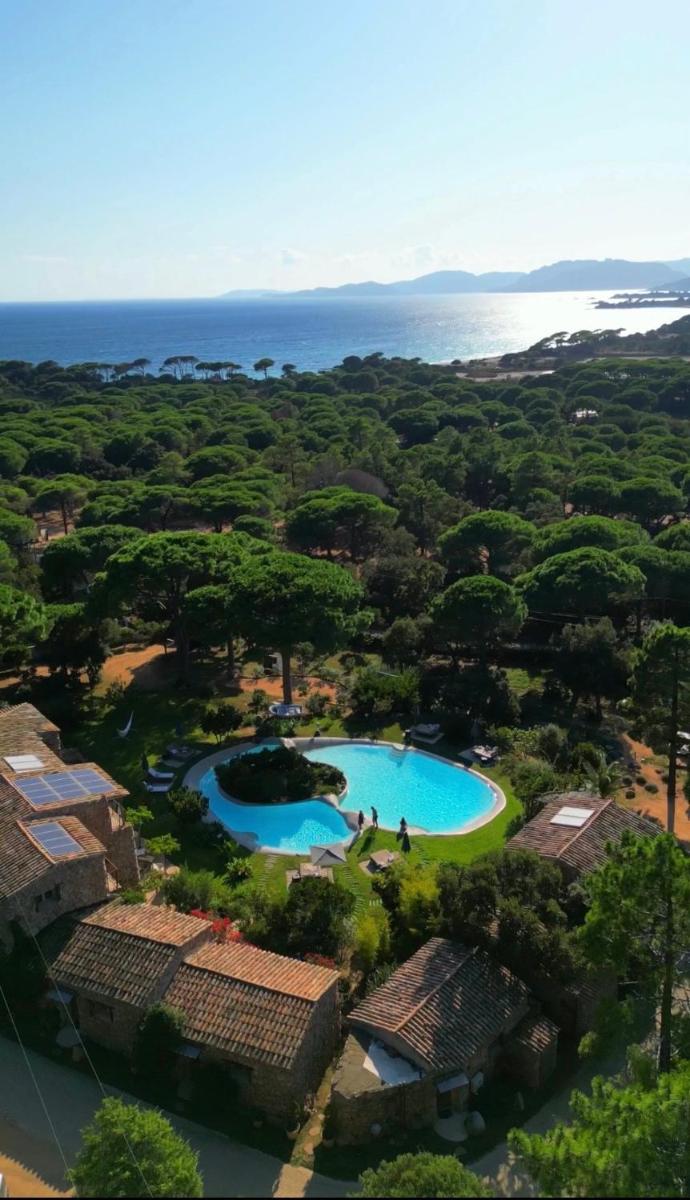 Piscine de l'établissement Hôtel Ambassador Palombaggia ou située à proximité