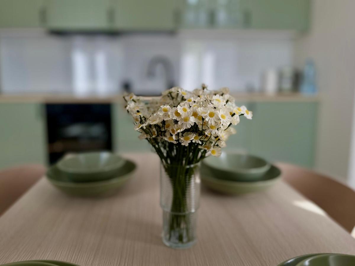 O4 Apartments - Hizvo