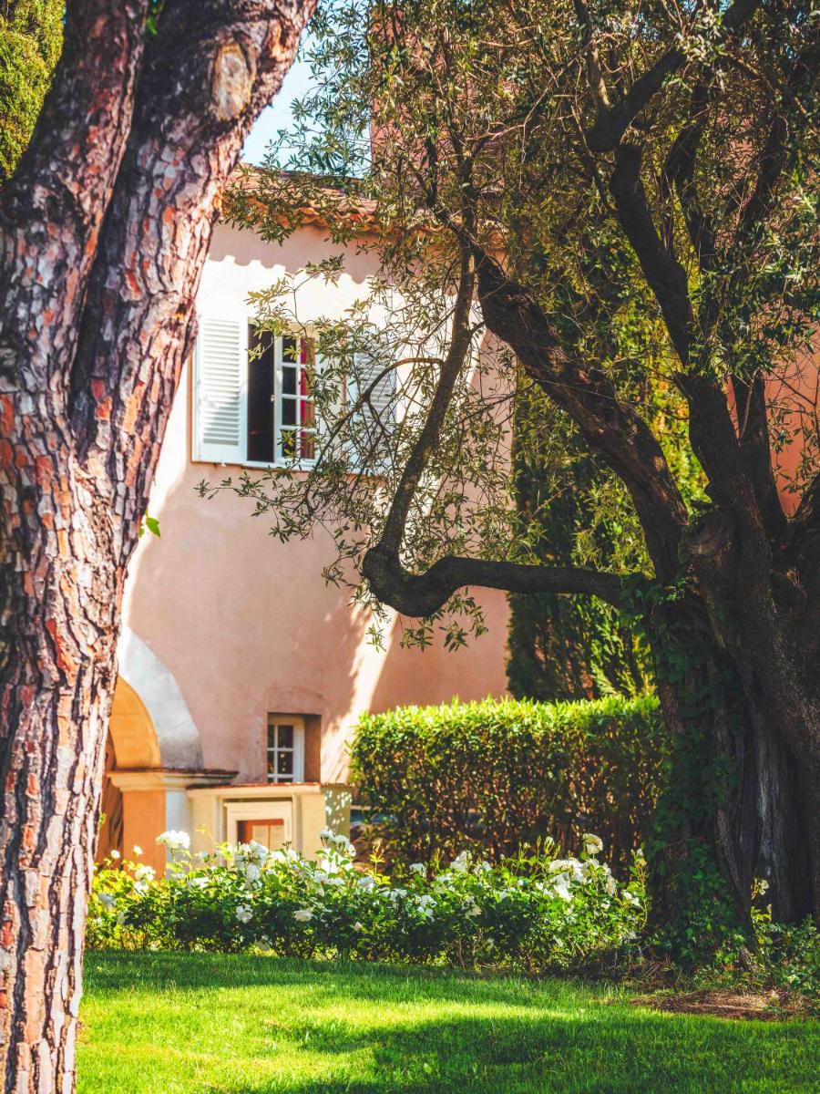Jardin de l'établissement Hôtel La Mandarine