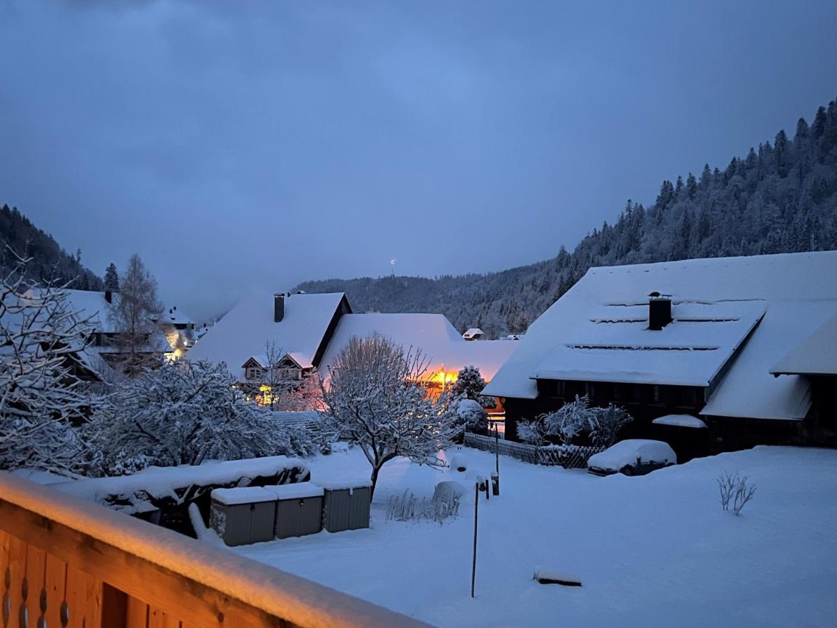 Schwarzwaldhaus - Fewo Fichte, St Blasien - Menzenschwand - Housity