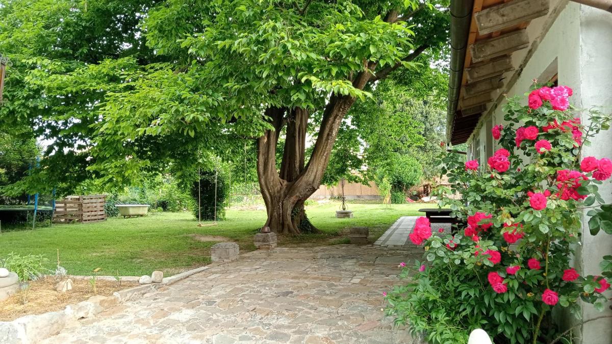 Le camere dell'Albero Bianco con uso cucina - Housity