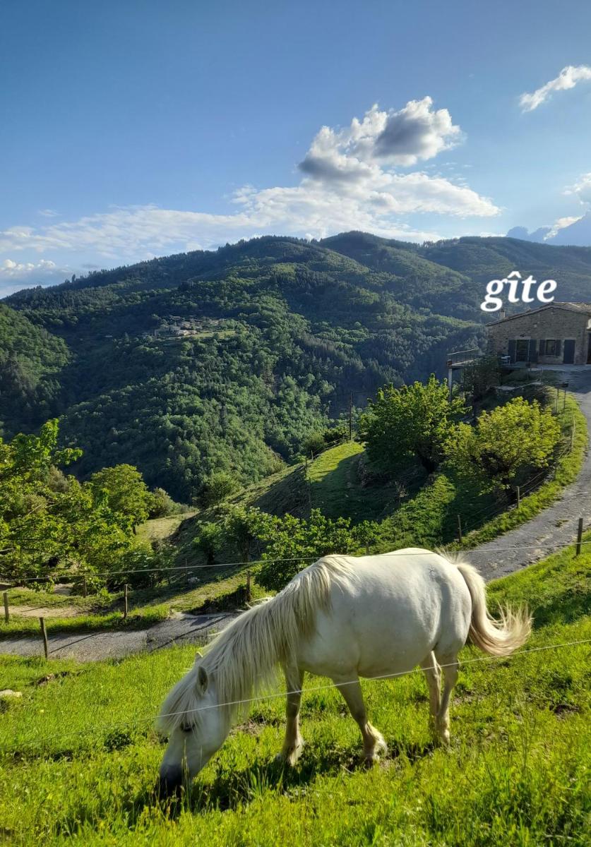 Jolie maison avec vue, dans bâtisse cévenole - Housity