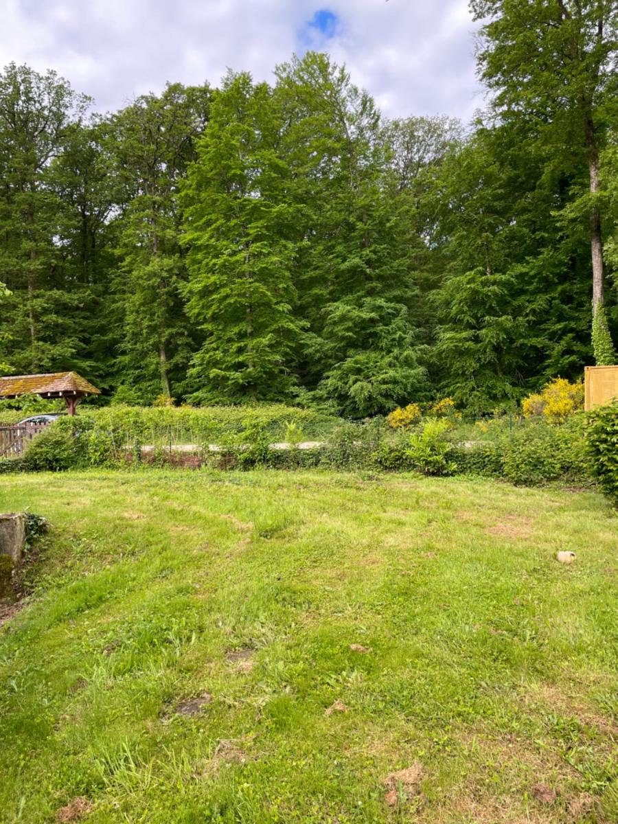 Studio au bord de la forêt de Perseigne - Housity