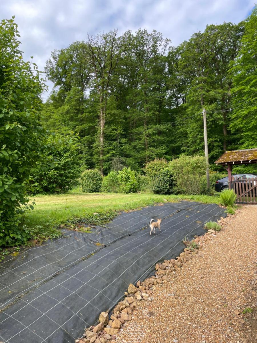Studio au bord de la forêt de Perseigne - Housity