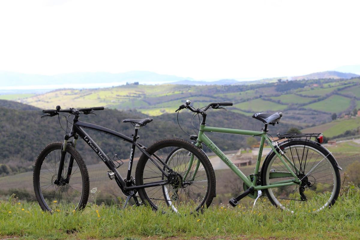 Agriturismo Le Piccole Macìe - Housity