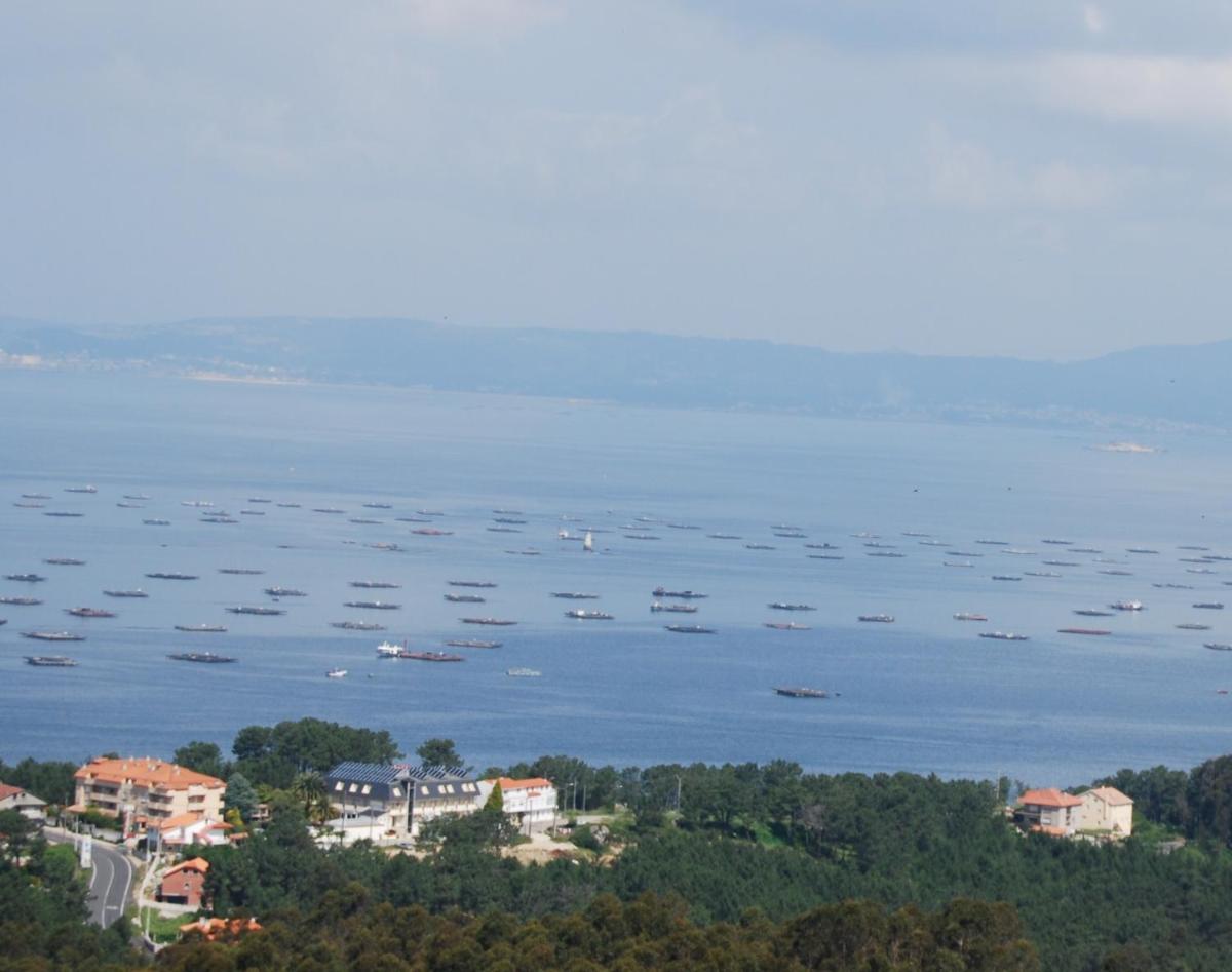 Paisaje cerca de este hotel