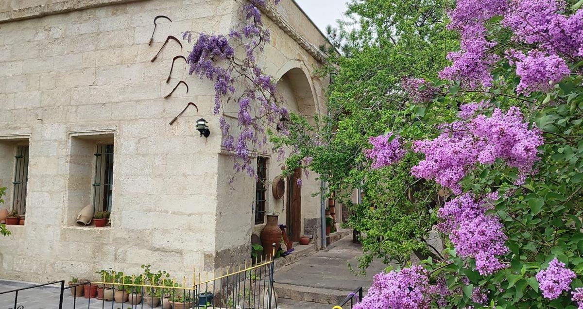 ARMEsos Cave Hotel - Housity